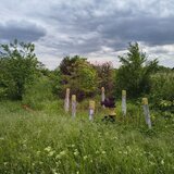 Teren Sectorul 6 - Giulesti Sarbi- Artera Drumul Sabareni